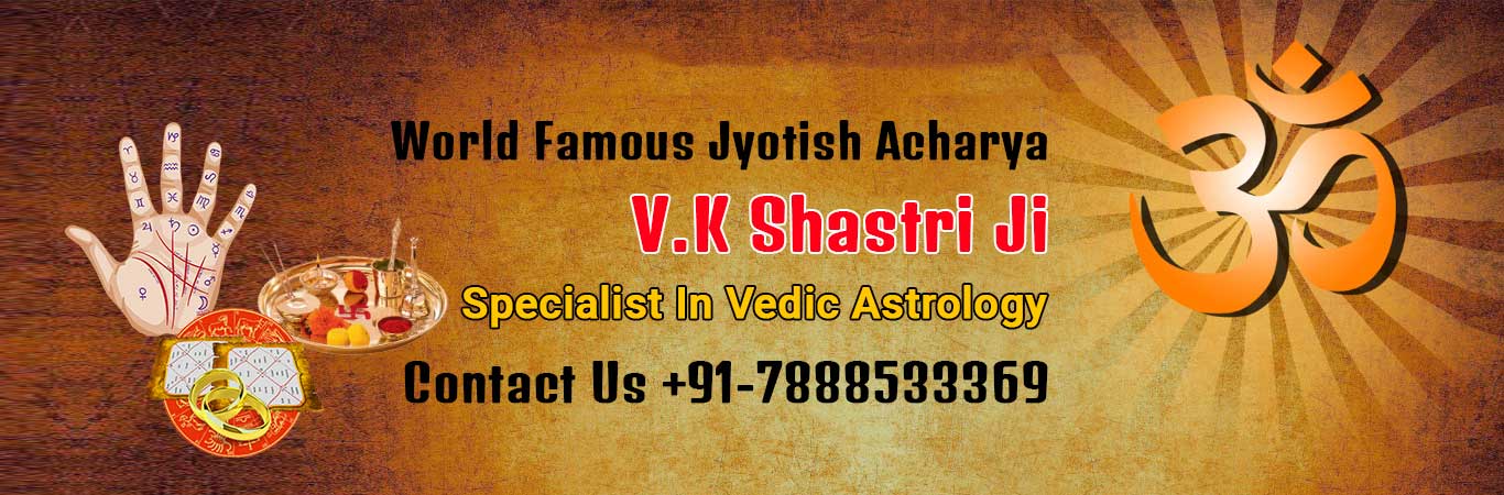 Vedic Astrology Expert
